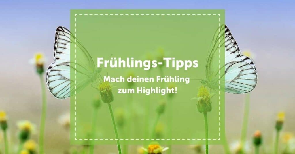 NEVEREST Frühlings Tipps Highlight Schmetterlinge Blumen Blüten Spring Jahreszeit