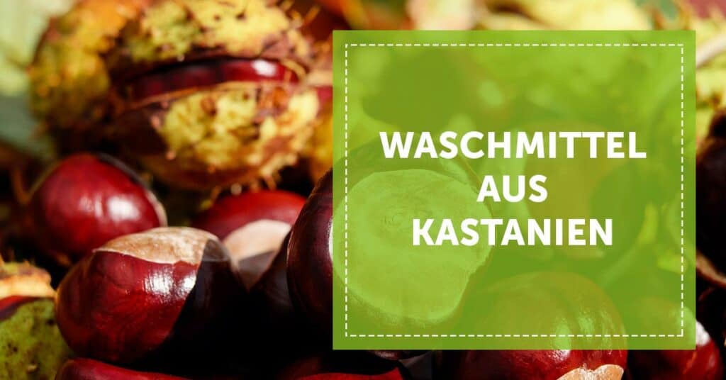 NEVEREST Blog Header Waschmittel aus Kastanien Autarkie natürlich ökologisch bio