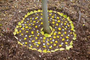 NEVEREST Achtsamkeitsübungen Landart Achtsamkeit für Kinder Blüten Blätter Mandala