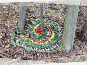 LandArt Ideen Schnecke Spirale Bunt Herbst Blätter Farn