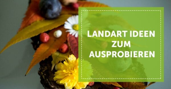 Landart Ideen Ausprobieren Kreativität Natur Kunst Outdoor Pflanzen Steine