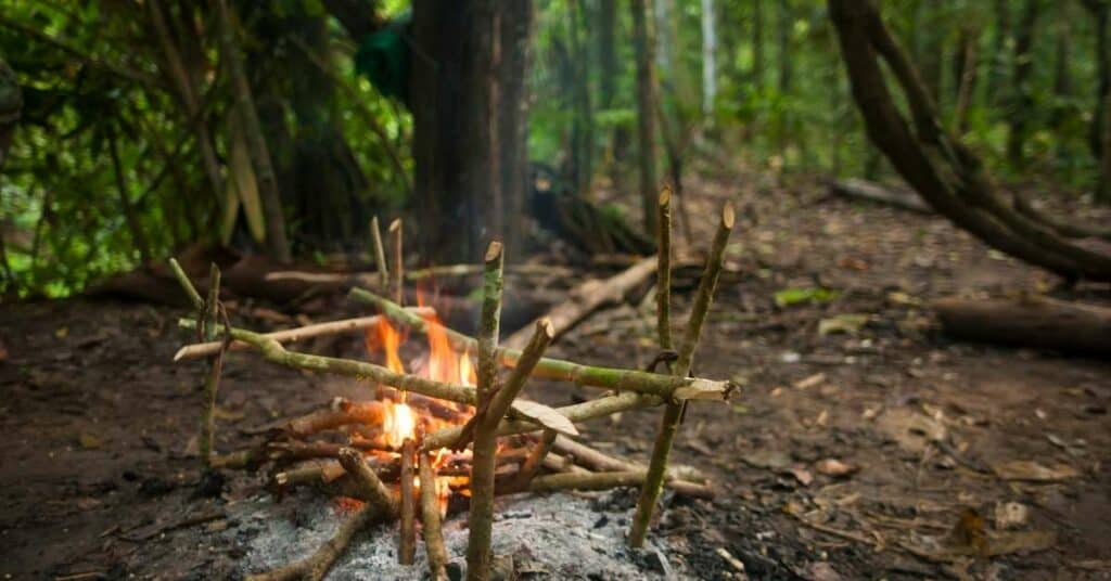 nahrung_feuerstelle_kochen_essen_survival