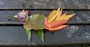 NEVEREST Blog: Kreative Landart Ideen Blätter Blüten Vogel