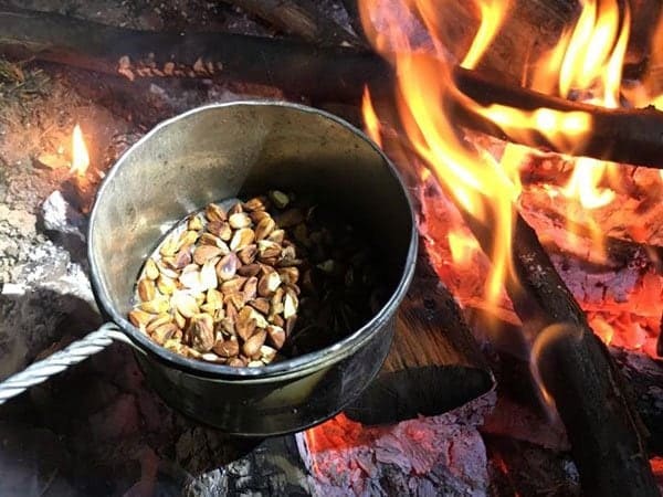 Wildkräuter Outdoorküche 16 Wildkräuter Outdoorküche | Bucheckern Kaffee