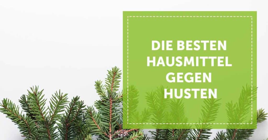 NEVEREST Blog Header Hausmittel gegen Husten Fichtennadeln