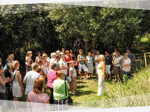 NEVEREST Kräuterpädagogik Ausbildung Abschluss Modul Gruppe Natur Outdoor Wildkräuter Wiese