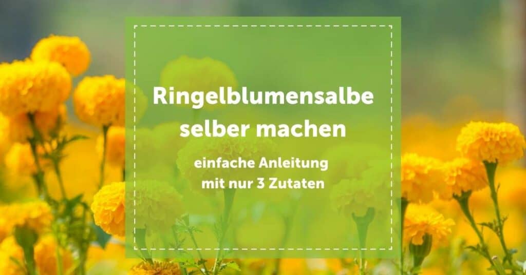 Ringelblumensalbe selber machen Ringelblumen Salbe Anleitung Zutaten