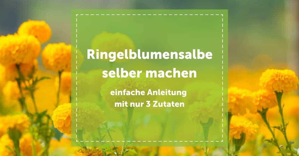 NEVEREST Blog Ringelblumensalbe selber machen Ringelblumen Salbe Anleitung Zutaten