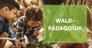 NEVEREST Blog Header Waldpädagogik Kinder Gruppe Forschen Lupe Lernen mit Natur