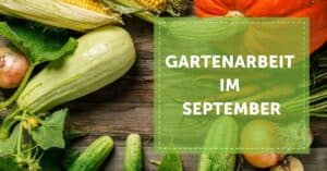 NEVEREST Blog Gartenarbeit im September Gartenjahr Garten Selbstversorgung Selbstversorger Autarkie