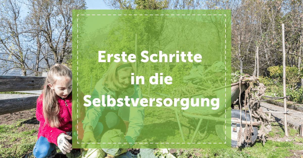 Blog erste Schritte in die Selbstversorgung Garten Kosmetik Kleidung Lebensmittel