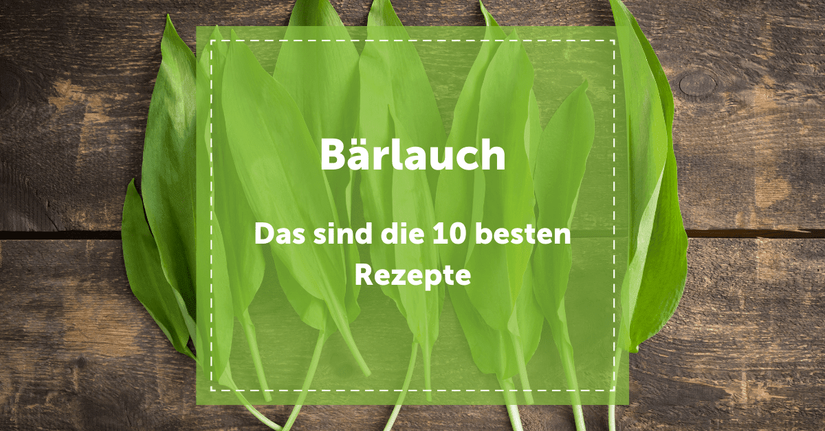 NEVEREST Blog Bärlauch 10 besten Rezepte Header