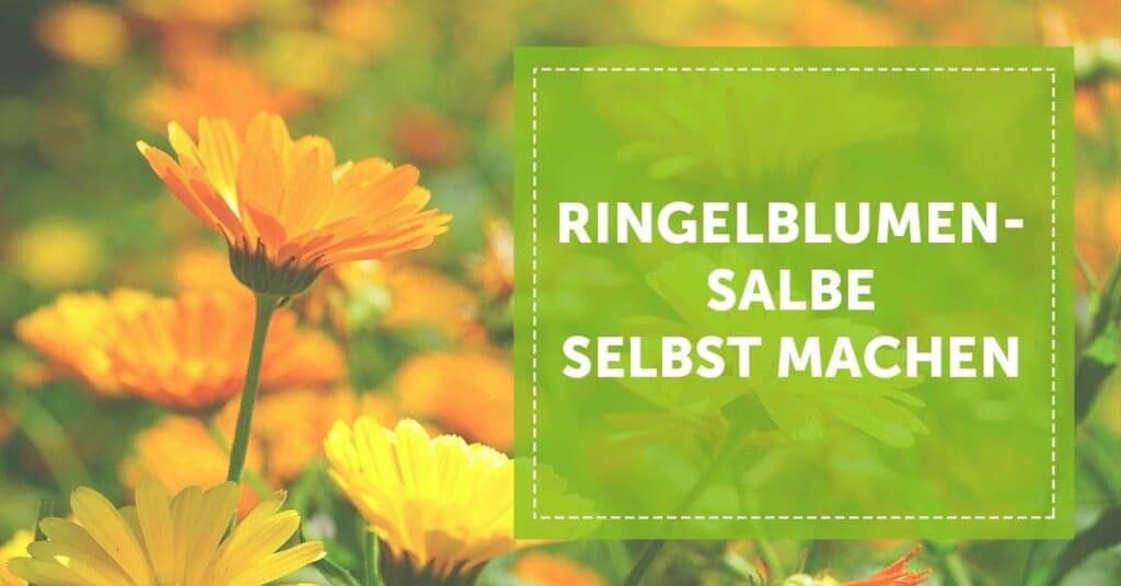 blogartikel_ringelblumensalbe_selber_machen_anleitung