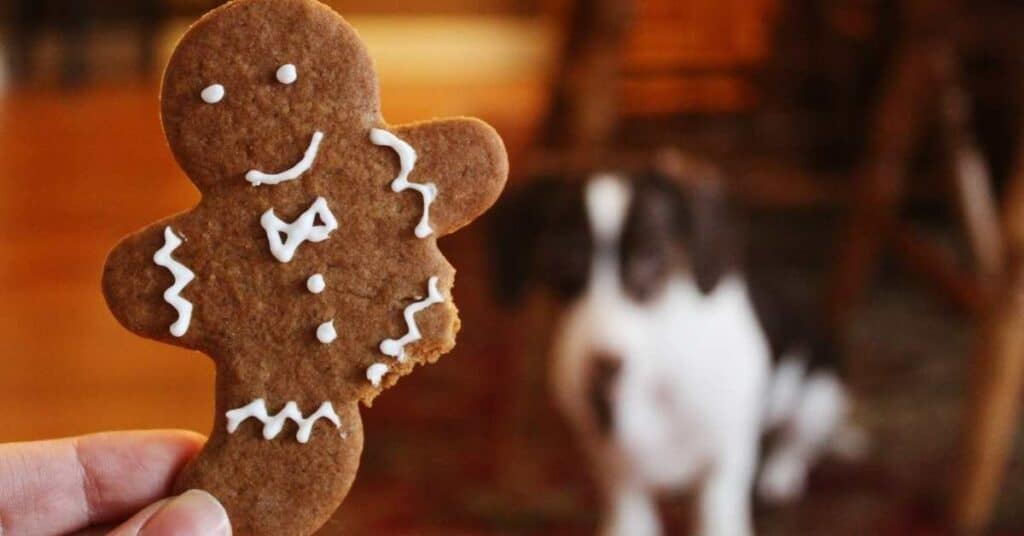 weihnachten_leckerei_lebkuchenmann_hund