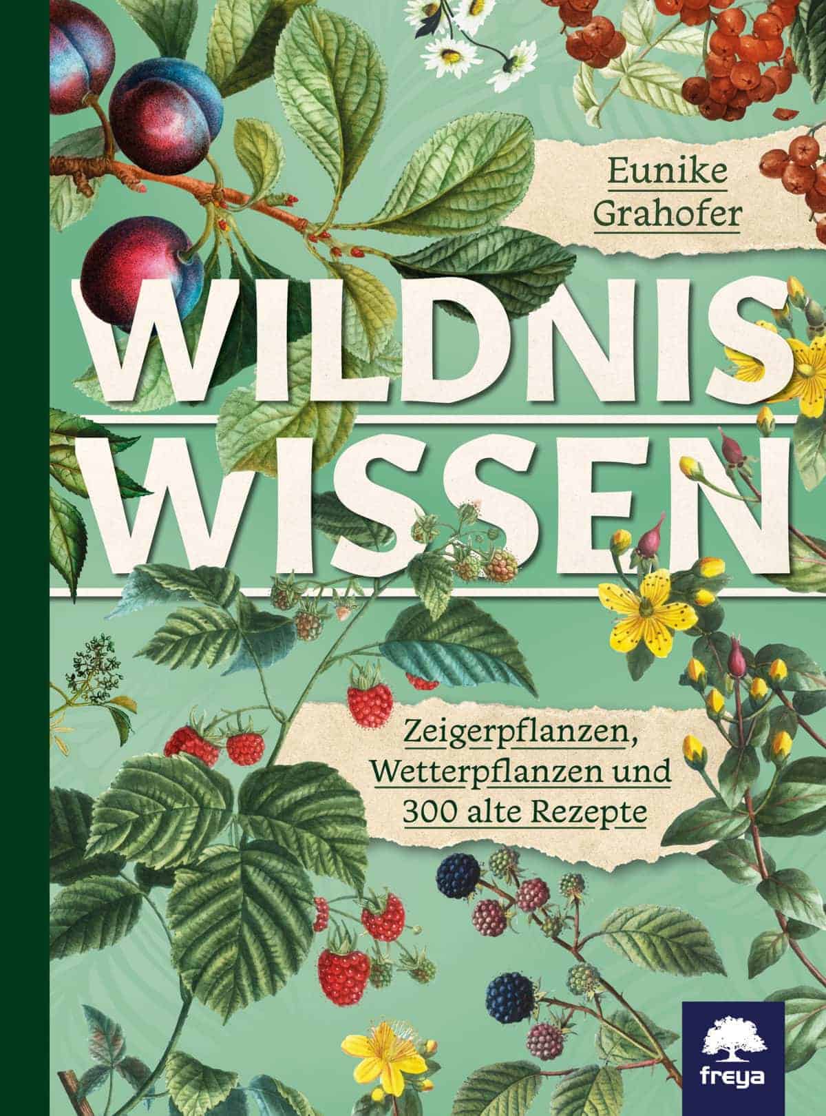 NEVEREST Publikationen Wildnis Wissen Zeigerpflanzen Wetterpflanzen Rezepte Eunike Grahofer