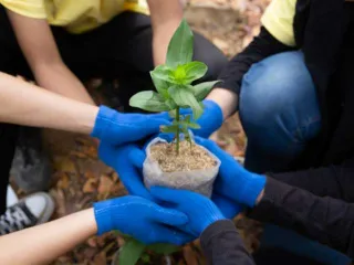 NEVEREST CSR Baumpflanzaktion - kleinen Baum pflanzen gemeinsam