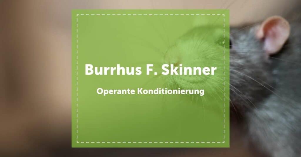 burrhus_f._skinner_blogartikel_neverest