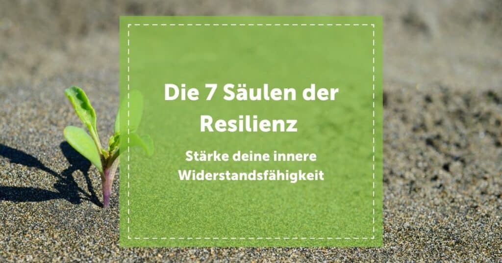 NEVEREST Blog Resilienz 7 Säulen Stärke innere Widerstandfähigkeit Durchhaltevermögen