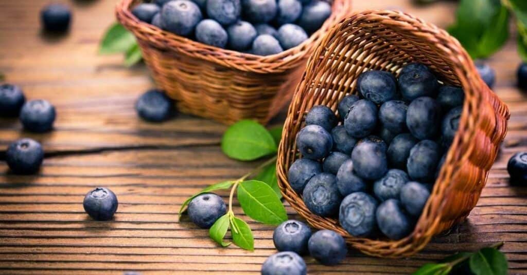 Hausmittel gegen Durchfall Heidelbeeren Blaubeeren