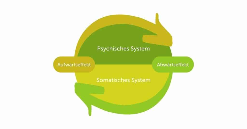 Psychosomatik Grafik Kreis Psychophysiologie Psychisch Physisch System Aufwärts Abwärtseffekt