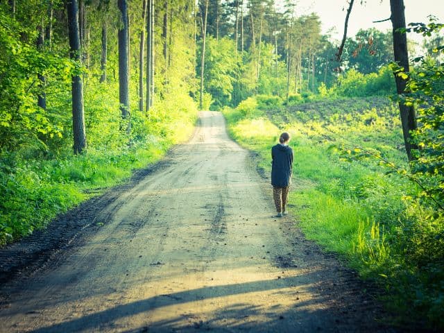 NEVEREST Frau Spaziergang im Wald