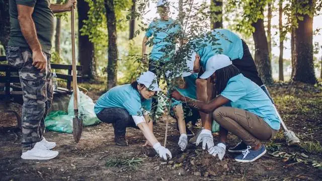 NEVEREST CSR Baumpflanzaktion - Team pflanzt einen Baum