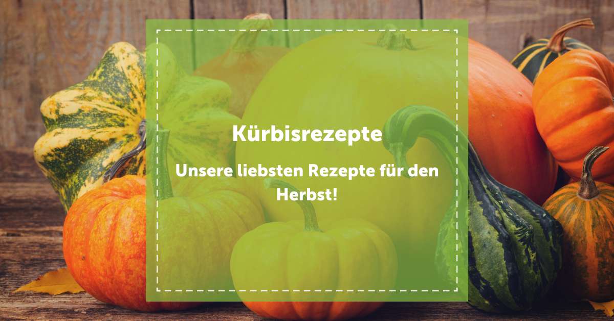 NEVEREST - Blog - Kürbisrezepte Kürbis Rezepte Herbst