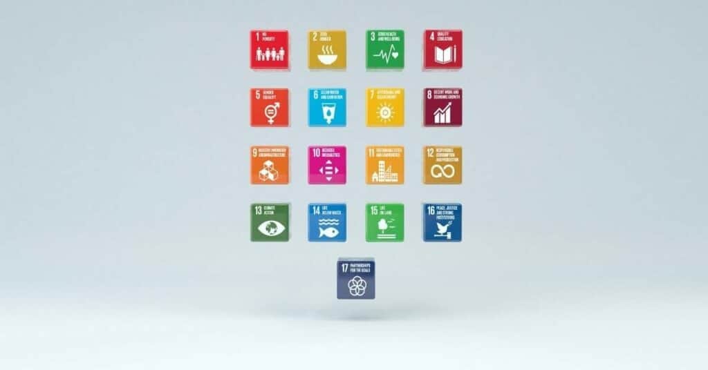 Symbole 17 Sustainable Development Goals