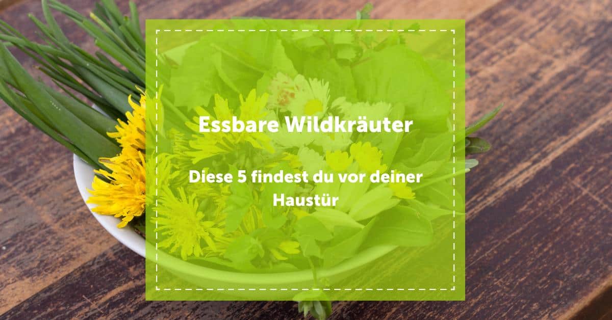 NEVEREST Essbare Wildkräuter in einer Schüssel