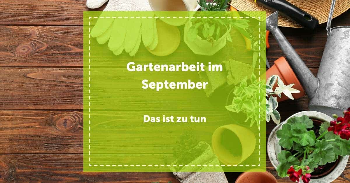 NEVEREST Gartenarbeit im September Beitragsbild