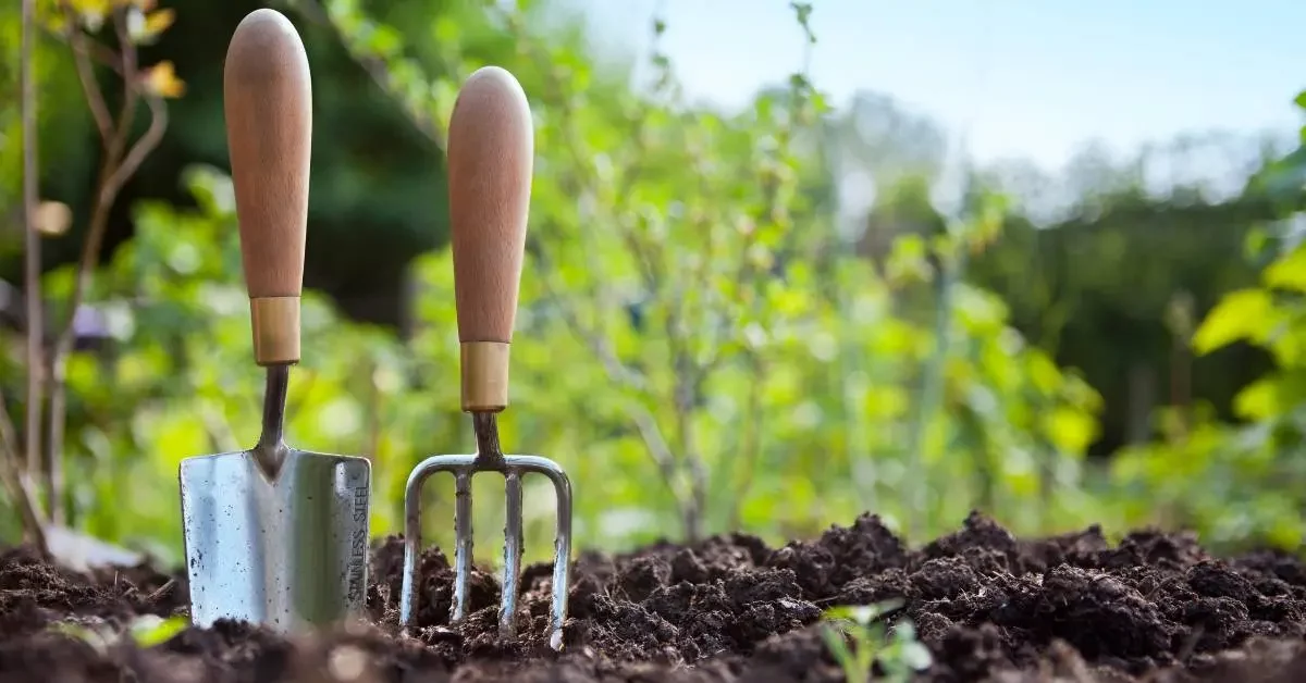 NEVEREST Gartenarbeit im September Schaufel und Rechen stecken in der Erde