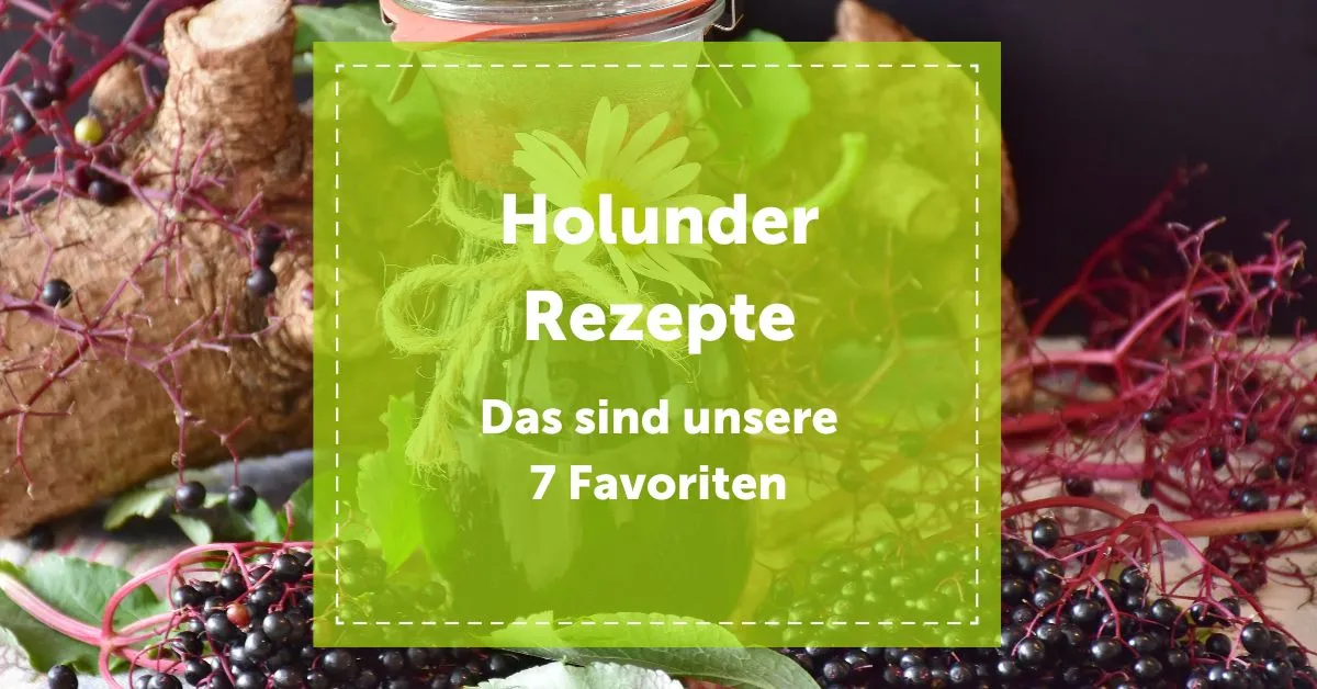 NEVEREST Blog Header Holunder Rezepte Unsere 7 Favoriten Hollersaft Beeren