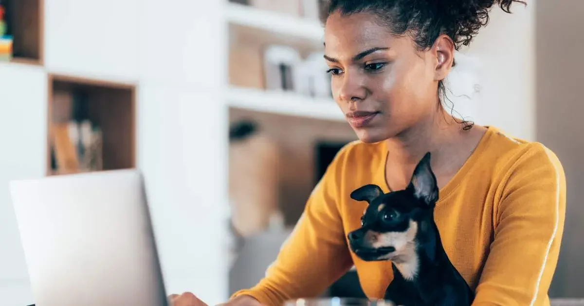 NEVEREST Home Office Frau sitzt mit hund vor ihrem Laptop