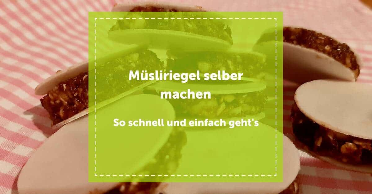 NEVEREST Müsliriegel selber machen Beitragsbild