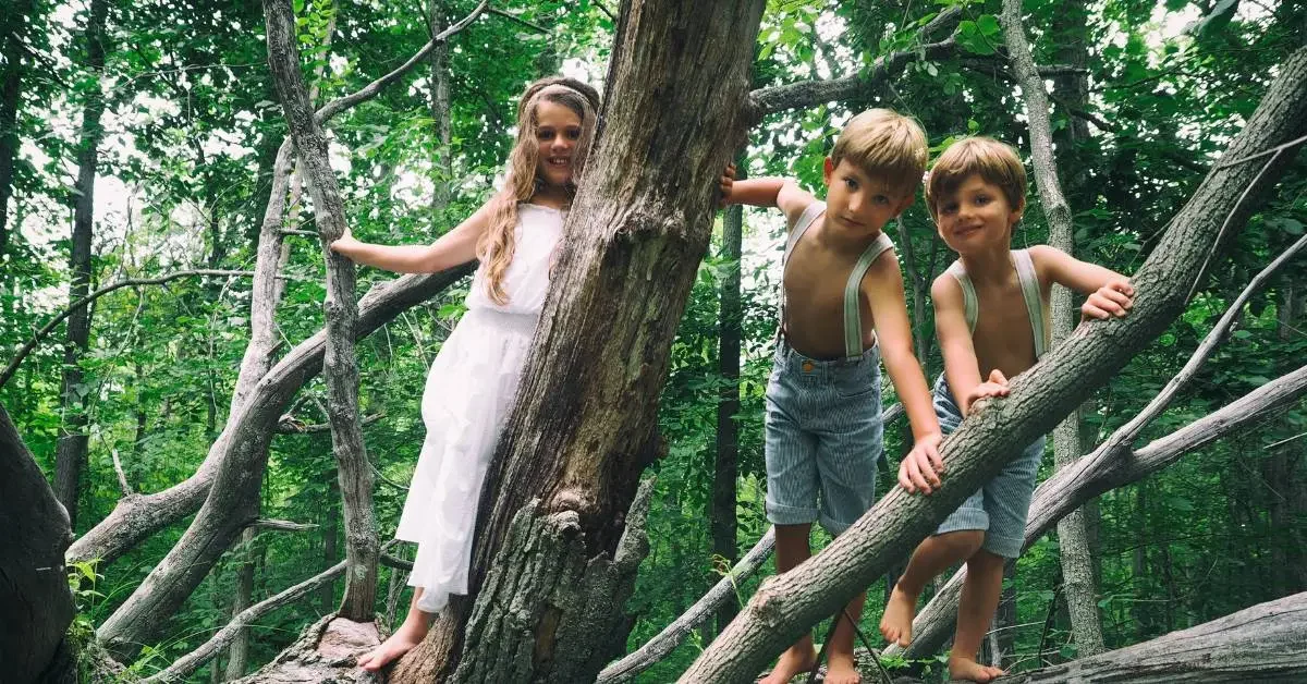 NEVEREST Waldpädagogik 3 Kinder stehen auf einem Baum