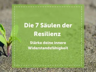 NEVEREST - Resilienz Training - 7 Säulen der Resilienz