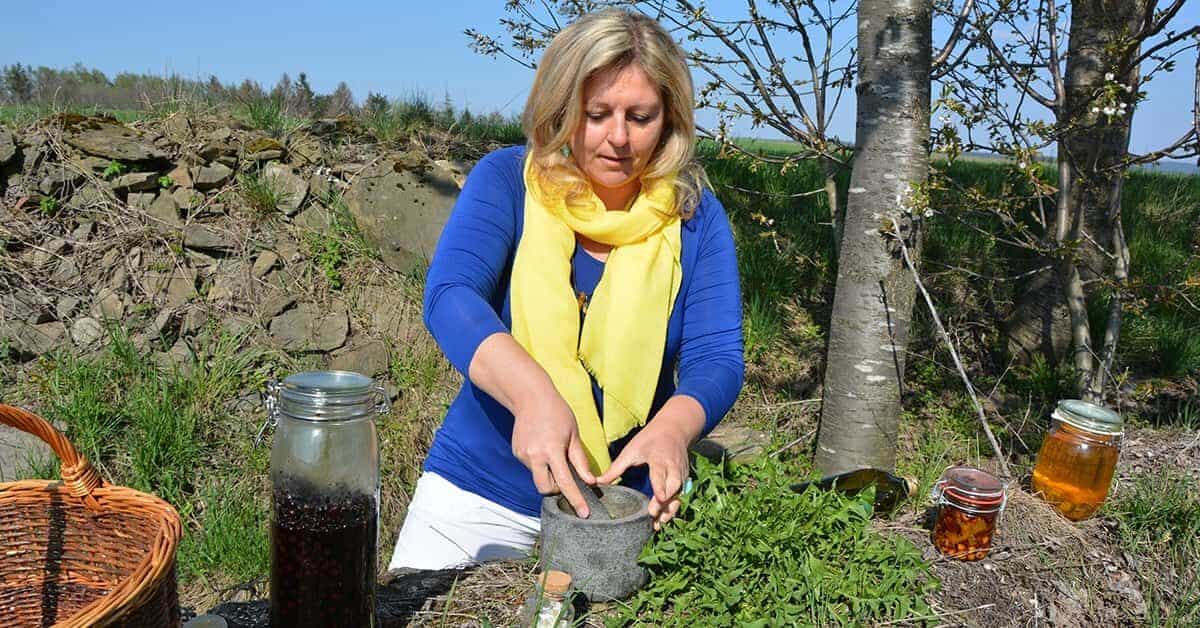 NEVEREST Hauptbild 2023 - Kraeuterpaedagogik Ausbildung 1200x628 Kräuterküche Wildkräuter Tinktur Eunike Grahofer