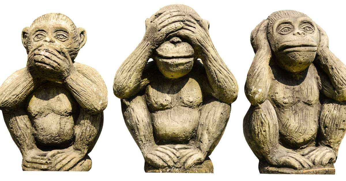 Billy Billy Bob NEVEREST Lifelong Learning