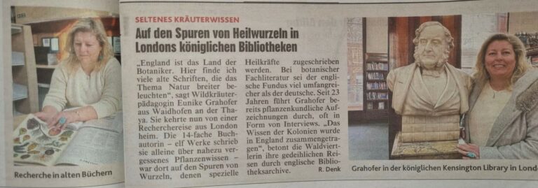 NEVEREST – Presseclippings – Krone – Kensington Library Wurzel Eunike