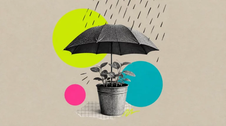 Collage: Ein Regenschirm schützt einen Topf mit kleinen Pflanzen vor gezeichnetem Regen