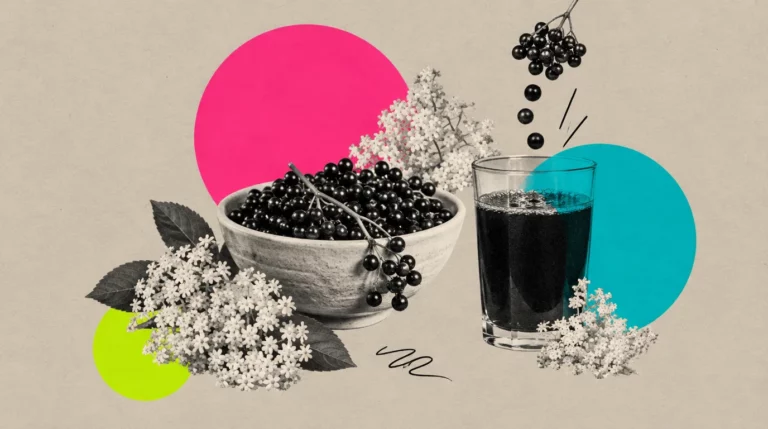 Collage: Holunderbeeren in einer Schale, daneben ein Glas Saft und Blütendolden