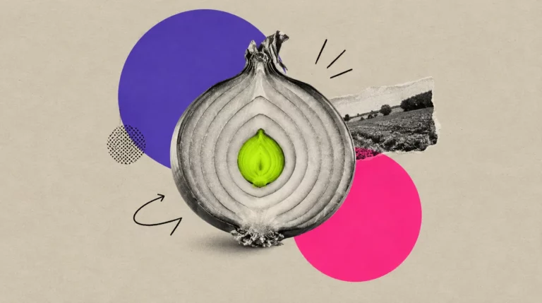 Collage: Eine aufgeschnittene Zwiebel mit drei Ringen, der innerste Kern grün markiert